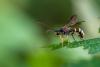 294954 – Photo : Arnaud Badiane – France (01)