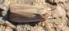 294541 – Photo : Christian Berquer – France (20)