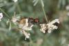 294456 – Photo : Henri Savina – France (11)