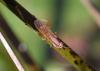 294727 – Photo : Marc Thibault – France (13)