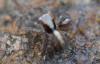 294822 – Photo : Christian Berquer – France (20)