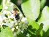 294826 – Photo : Lionel Casset – France (77)