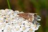 295295 – Photo : Pierre Duhem – France (73)