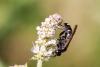295521 – Photo : Pierre Duhem – France (24)