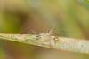 295536 – Photo : Pierre Duhem – France (24)