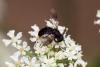 295679 – Photo : Pierre Duhem – France (75)