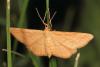 295560 – Photo : Vincent MATHEZ – France (74)