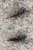 295148 – Photo : Marc Thibault – France (13)