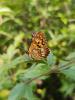 295327 – Photo : Ivan Jaubertie – France (24)