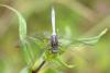 295867 – Photo : Christian Lafitte – Rwanda