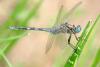 295781 – Photo : Christian Lafitte – Rwanda