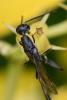 296415 – Photo : Didier Houbrechts – Belgique