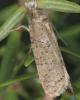 296743 – Photo : Simon Thevenin – France (13)