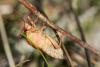 296231 – Photo : Bernard Saquet – France (12)
