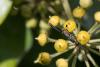 296336 – Photo : Bernard Saquet – France (12)