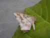 296667 – Photo : Dominique THAUVIN – France (45)