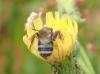 296830 – Photo : Catherine Reymonet-Smitten – France (19)