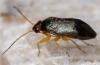297786 – Photo : André Burgers – Espagne