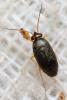 297785 – Photo : André Burgers – Espagne