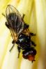 297498 – Photo : André Burgers – Espagne