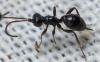 297029 – Photo : André Burgers – Espagne