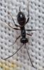 297030 – Photo : André Burgers – Espagne