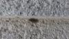 297880 – Photo : Vincent Mathy – France (14)
