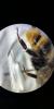 297515 – Photo : Yvan Brugerolles – France (69)