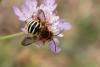 297800 – Photo : Jessica Joachim – France (13)