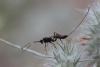 297639 – Photo : Simon Thevenin – France (13)