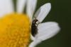 297362 – Photo : Tristan CAUDAL – France (37)