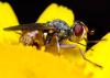 297496 – Photo : André Burgers – Espagne