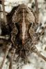 298711 – Photo : André Burgers – Espagne