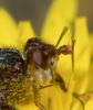 298834 – Photo : éric Pensa – France (13)
