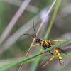298423 – Photo : Simon Thevenin – France (18)