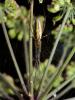 298951 – Photo : Cédric Mondy – France (56)