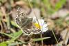 298706 – Photo : Jessica Joachim – France (09)