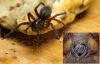 298841 – Photo : Cédric Mondy – France (94)