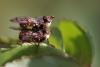 298426 – Photo : Nicolas Mangold – France (44)