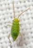 299083 – Photo : André Burgers – Espagne