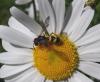 299639 – Photo : Vincent Mathy – France (14)
