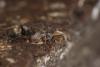 299214 – Photo : Simon Thevenin – France (13)