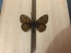 299535 – Photo : Limenitis78 – France (05)