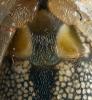 299025 – Photo : Cédric Mondy – France (94)