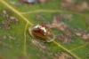 299899 – Photo : Pierre-Yves Vaucher – France (30)
