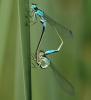 3006 – Photo : Michel Guttin – France (01)