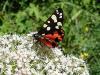 3508 – Photo : Arnaud Jean-Pierre – France (09)