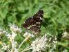 3551 – Photo : Arnaud Jean-Pierre – France (09)