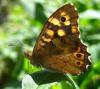 3850 – Photo : Cecile Bassaglia – France (29)