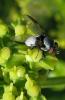30419 – Photo : Anne Forgues – France (11)